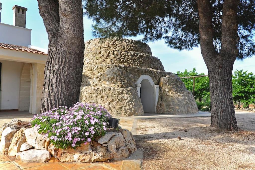 Villa Principe Degli Olivi 마루지오 외부 사진