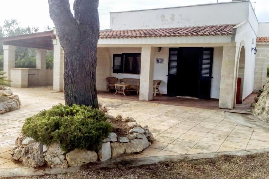 Villa Principe Degli Olivi 마루지오 외부 사진