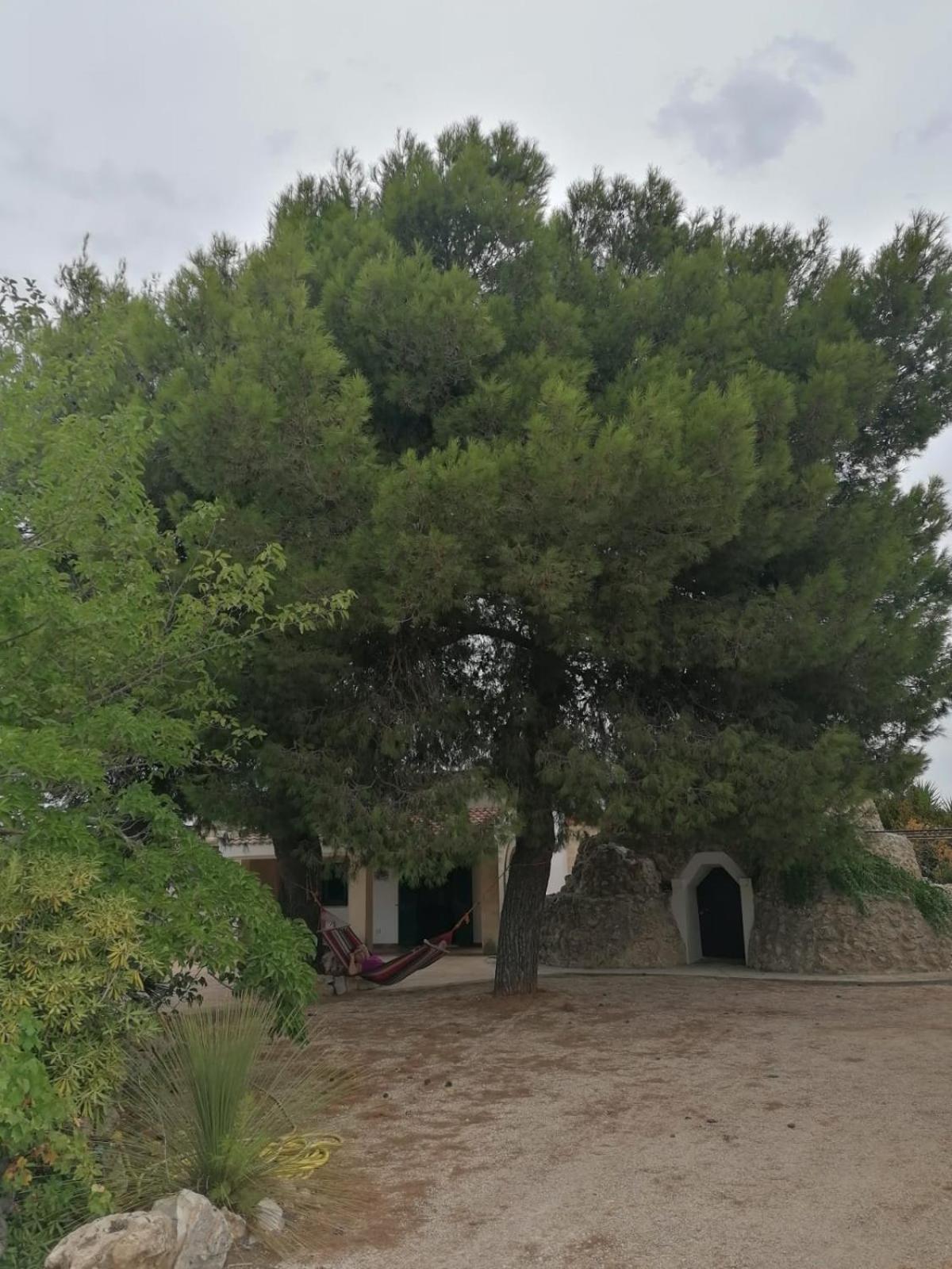 Villa Principe Degli Olivi 마루지오 외부 사진